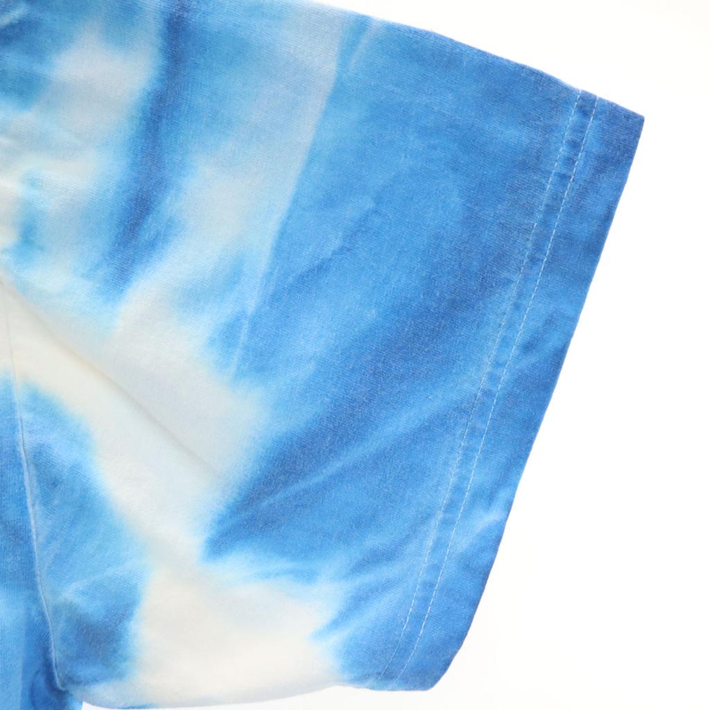 TULTEX 00s Old Looney Tunes Tweety Short sleeve T-shirt L blue Tie-dye Men's Used