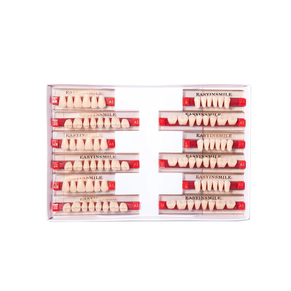 16/12 Sätze/Karton Zahnprothese Zähne Oberkiefer Frontzähne Unterkiefer Seitenzähne Dentier Synthetisches Polymerzähne Zahnmedizinische Ausbildungsmodell