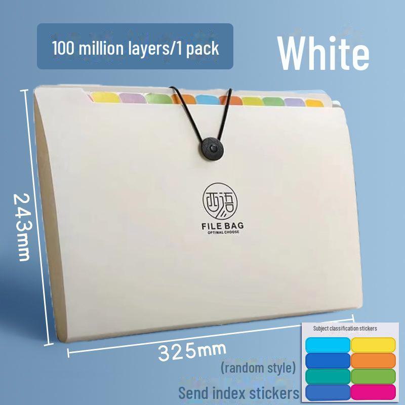 Large Capacity A4 Transparent Accordion File for Document Storage