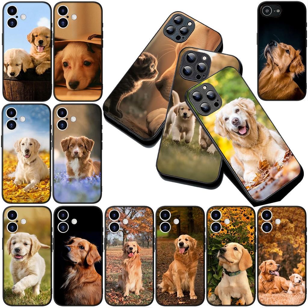 Casing for Apple iPhone 16 14 15 Plus 11 Pro Max 16E ProMax + 16Plus 15+ 14+ Phone Cover Protective Case Golden Retriever Dog