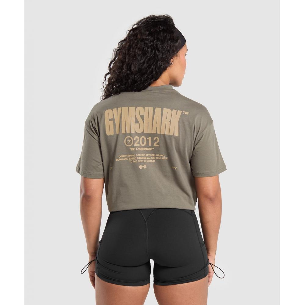 

Футболка GYMSHARK Be a Visionary Oversized Камуфляжно-коричневый B7A5X NBY9