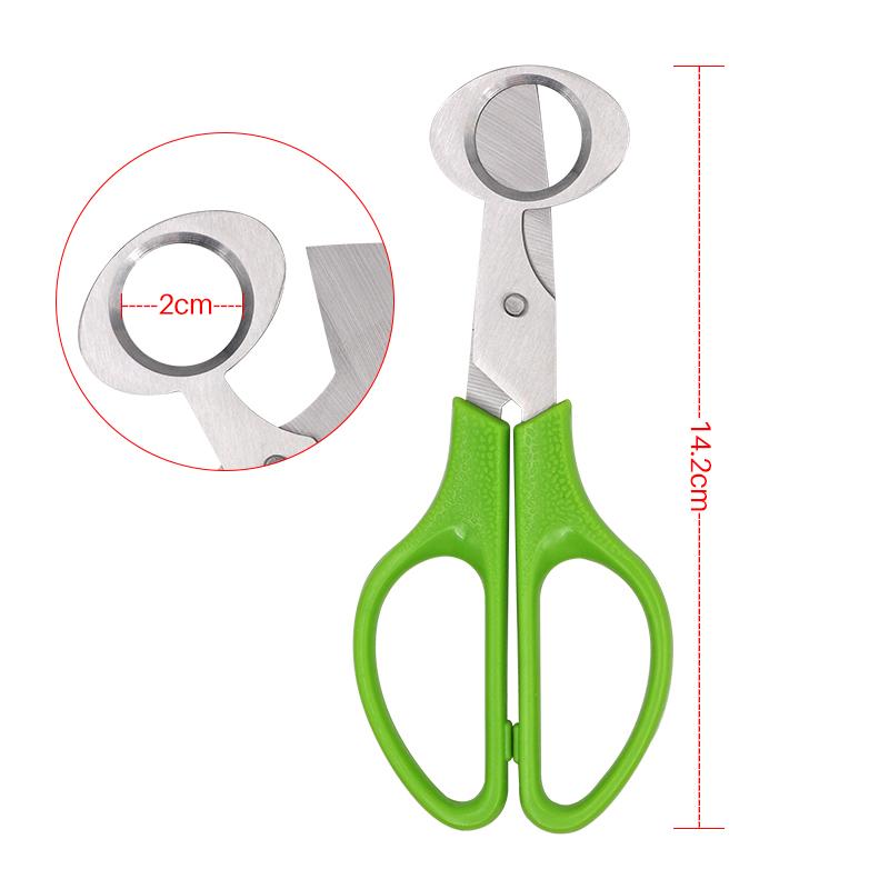 

Ножницы для резки яиц перепелов и голубей, лезвие из нержавеющей стали, креативный нож, открывалка, кухонная машинка для стрижки яиц, инструмент 1 шт. зелёный
