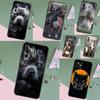 Telefon kapları – Smartphone Bumper Kılıflar