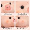Plush Toys, Cute And Perfect Birthday Gifts For Friends And Classmates, Graduation Gifts