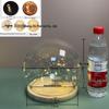Luminous Sea Urchin Glass Dome with Preserved Flowers and String Lights