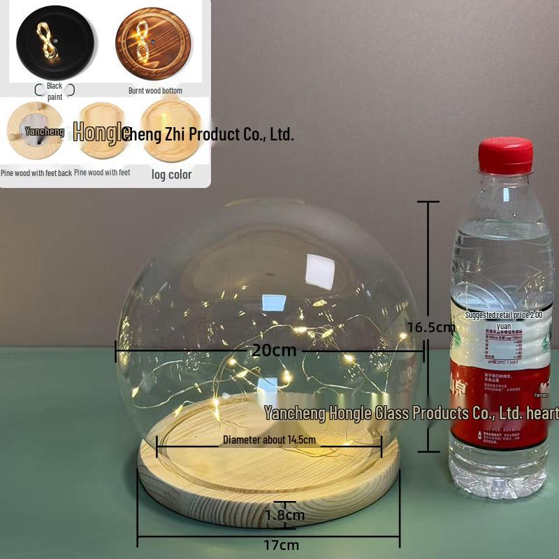 Luminous Sea Urchin Glass Dome with Preserved Flowers and String Lights