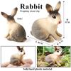 Oenux Lovely Farm Rabbit Bunny Model Action Figure Figurine Wild Desert Cottontail Hare Cute PVC Decoration Education Kid Toy