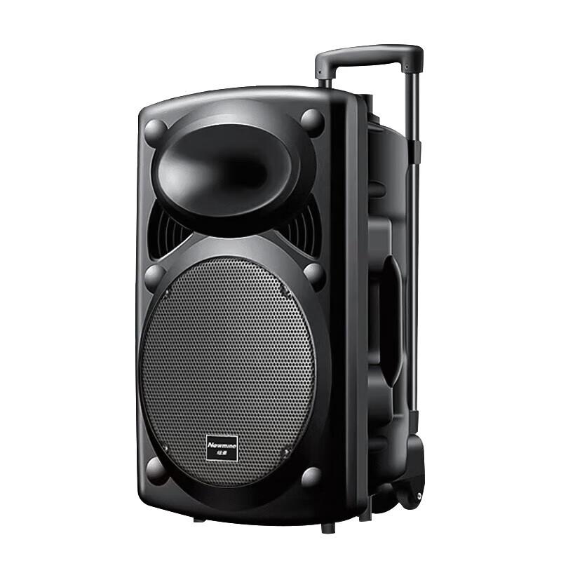 Newsmy B12 12-inch Portable Bluetooth Speaker