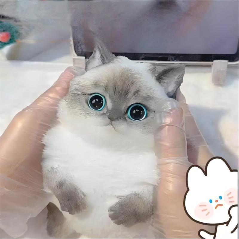 Süße Kawaii Katze Weiches Silikon Stressabbau Knetspielzeug Angstlinderung Schreibtisch Geschenk Für Kinder Erwachsene Schreibtisch Dekoration Geschenk