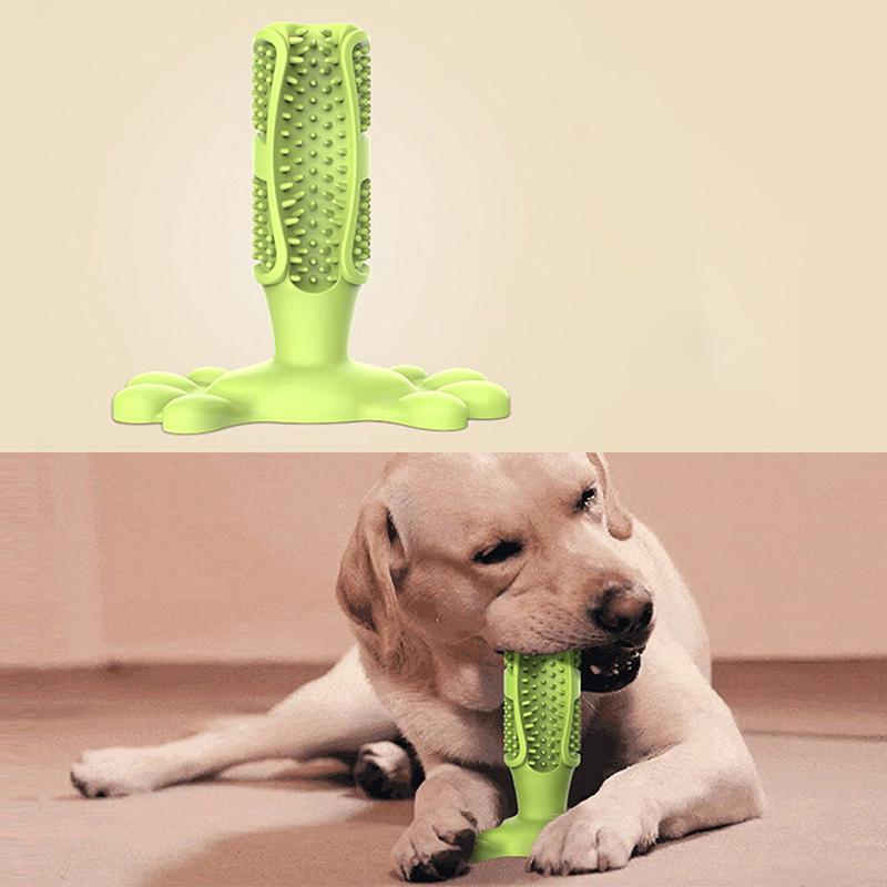 rubber dog toothbrush