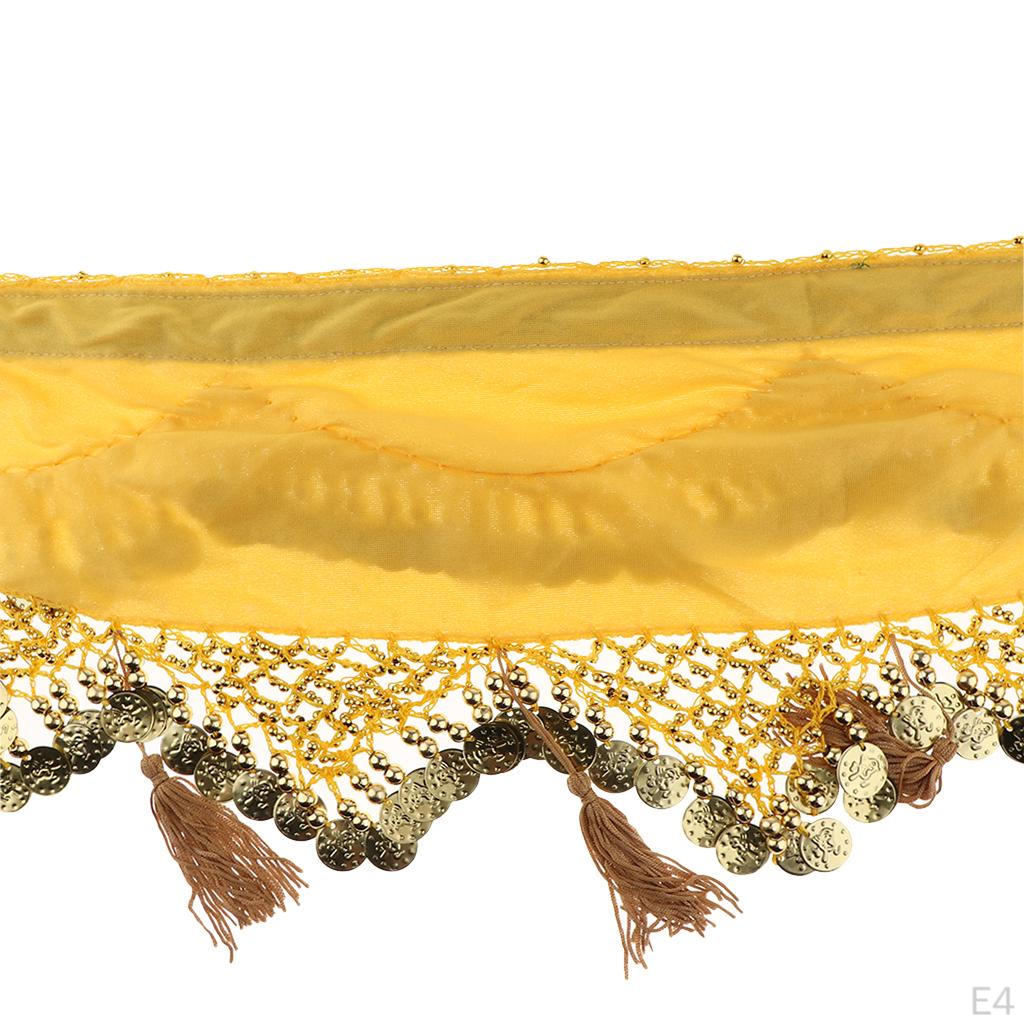 Belly Dance Hip Scarf Wrap Belt Indian Dancer Skirt Latin Costumes