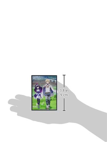 Clockworks Sleeve Collection Vol.43 Infinite Dendrogram Ray & Nemesis