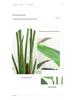 Nordic Style Bird of Paradise Faux Potted Plant, Indoor Decor Traveler's Palm Bonsai Tree