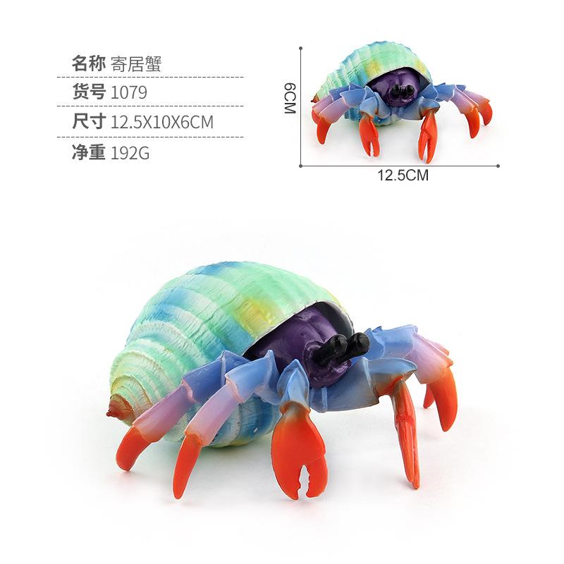Color Version Of Simulation Animal Marine Life Animal Model Toy Squid Hermit Crab Seahorse Zebra Shark Model
