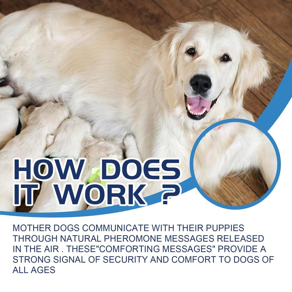 YEGBONG Pet Mood Care Relief for Dogs and Cats Comfort & Calm Care for Agitation