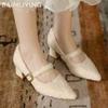 Chunky Fur Shallow Women Shoes Pointed Toe Elegant Mid Heels Shoes 2025 Trend Designer Buckle Pumps Winter Fashion Mujer Zapatos