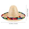 43 Cm Diameter Fiesta Carnival Party Hats Party Dog Sombrero Carnival Costume Straw Hats With Drawstring Mexican Hat For