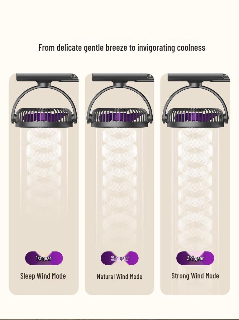 Adjustable Dual-Head Fan with Light for Home and Travel