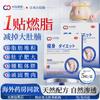 Japanese Fat Burning Slimming Patches