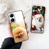 Pomeranian Dog Pet Animal Phone Cover for Samsung Galaxy Note 20 9 10 S8 S10 Lite S9 Plus A54 A53 A21S S10E A17 Coque Case