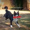 Bastone Morso Addestramento Cane Manico Doppio Giocattolo Interattivo Masticare Denti Bastone Addestramento Cane Addestramento Cane Animale Manicotto in Juta Giocattoli per Cani