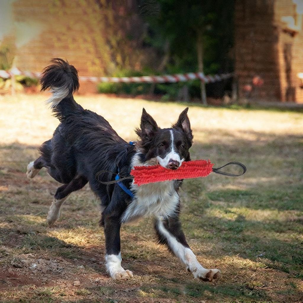 Bastone Morso Addestramento Cane Manico Doppio Giocattolo Interattivo Masticare Denti Bastone Addestramento Cane Addestramento Cane Animale Manicotto in Juta Giocattoli per Cani