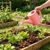 800ML Indoor Outdoor Plants Watering Can Large Capacity Lightweight Long Spout Garden Home Flower Plants Watering Pot with Handle