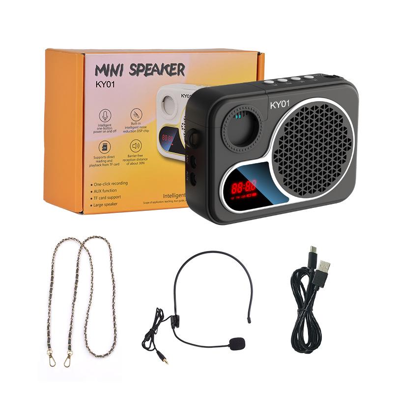 Portable Bluetooth Speaker & Lightweight Wireless Microphone for Teachers & Musicians