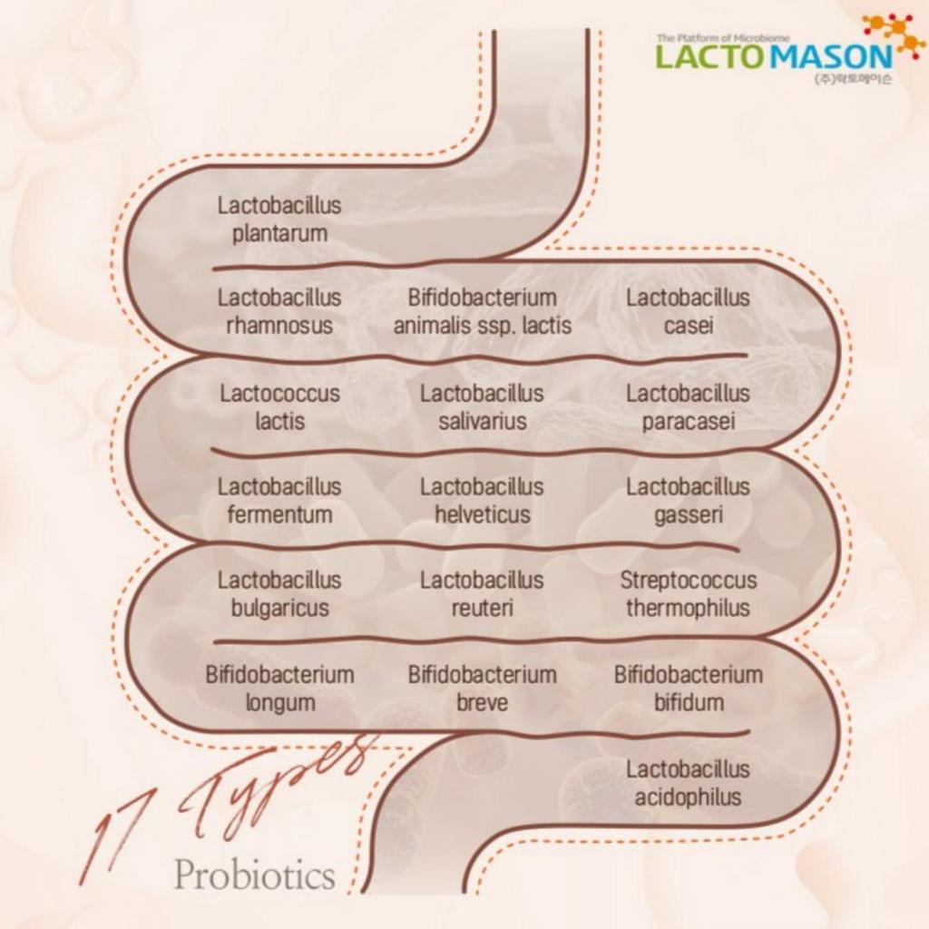 Vitamin Village 1 Billion CFU Probiotics + White Glutathione 30stick