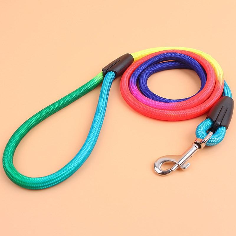 New Small dog outdoor training with a new type of solid dog leash pet with nylon cat chain traction Chihuahua accessories