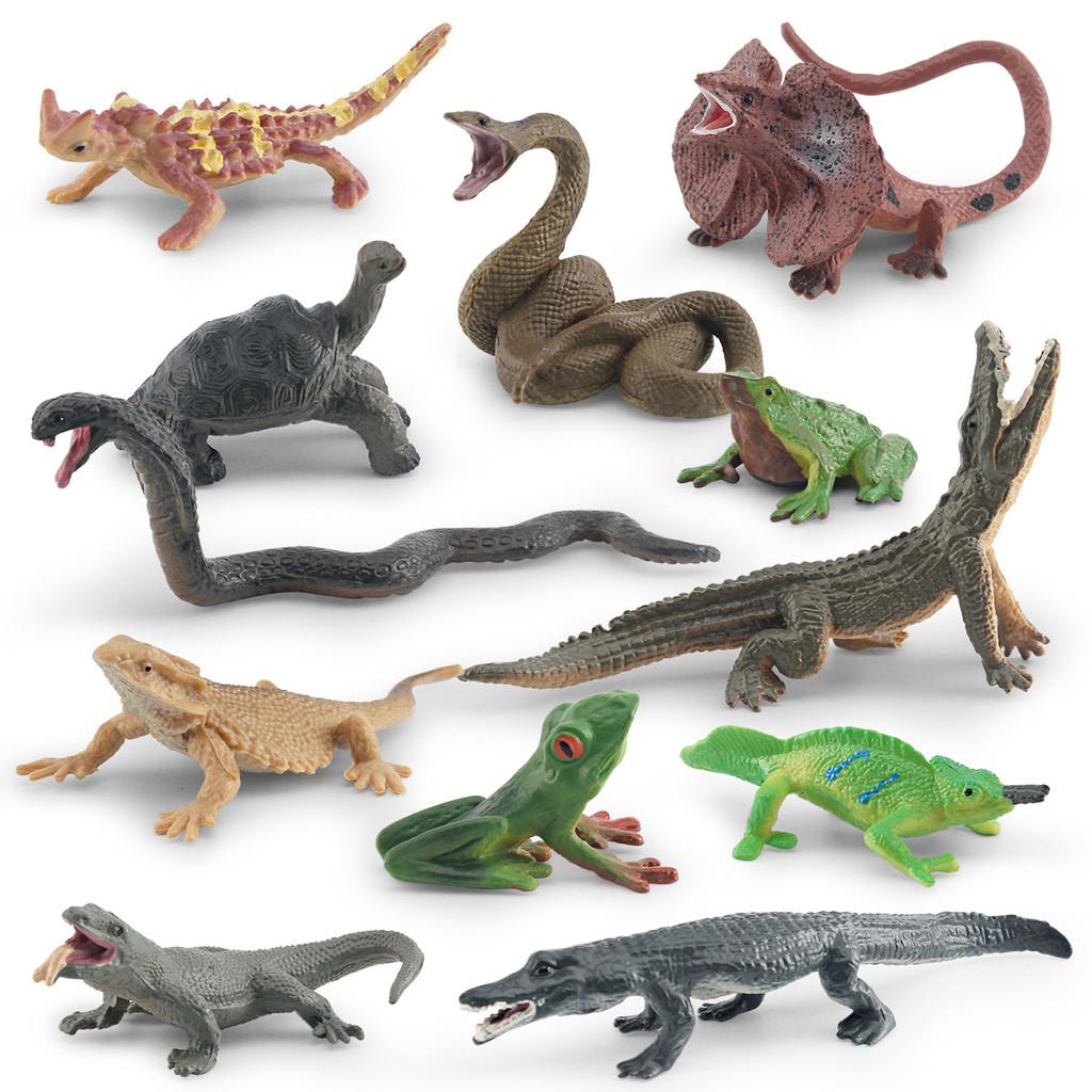 Realistic Pvc Amphibian And Reptile Model Pack For Display And Educational Use