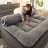 Lamb Wool Home Mattress Winter Thickened Warm Tatami Plush Cushion Bedroom Dormitory Hotel Single and Double People Padded Quilt