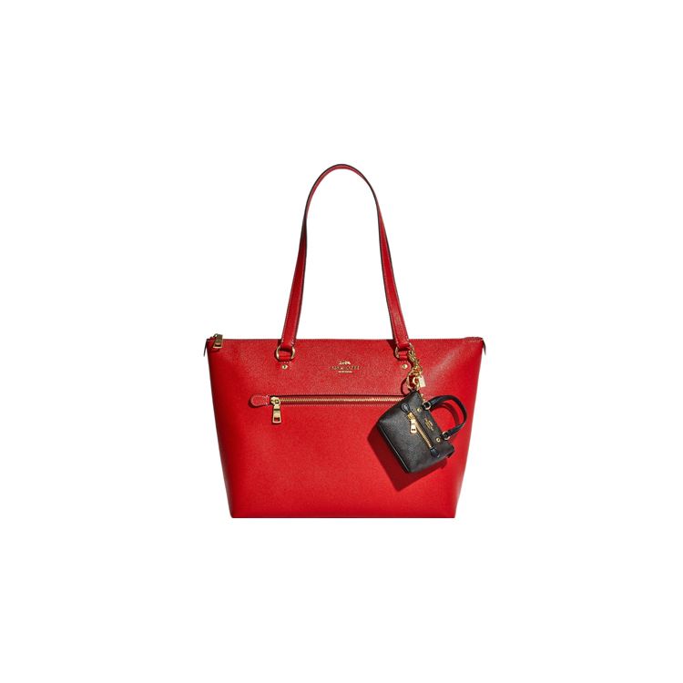 Coach Fermeture éclair de galerie Poche extérieure Porte-clés Toile enduite et cuir lisse Mini sac Sacs pour femmes Marron CC895-IMAA8