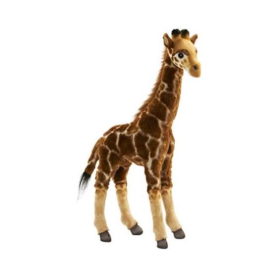 BH7810 HANSA Giraffe 50