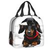 Dachshund Thermal Insulated Lunch Bag Women Badger Sausage the Wiener Dog Lunch Tote for Outdoor Camping Travel Storage Food Box