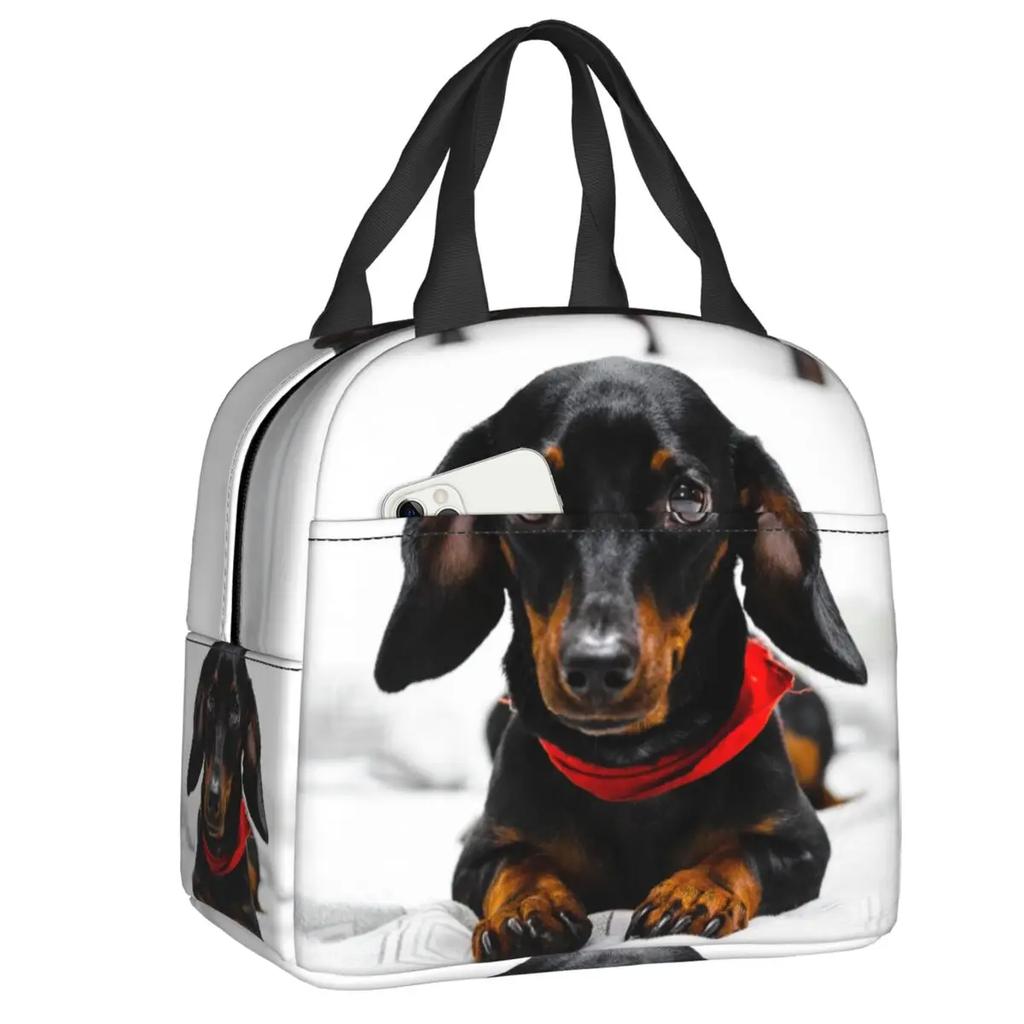 Dachshund Thermal Insulated Lunch Bag Women Badger Sausage the Wiener Dog Lunch Tote for Outdoor Camping Travel Storage Food Box