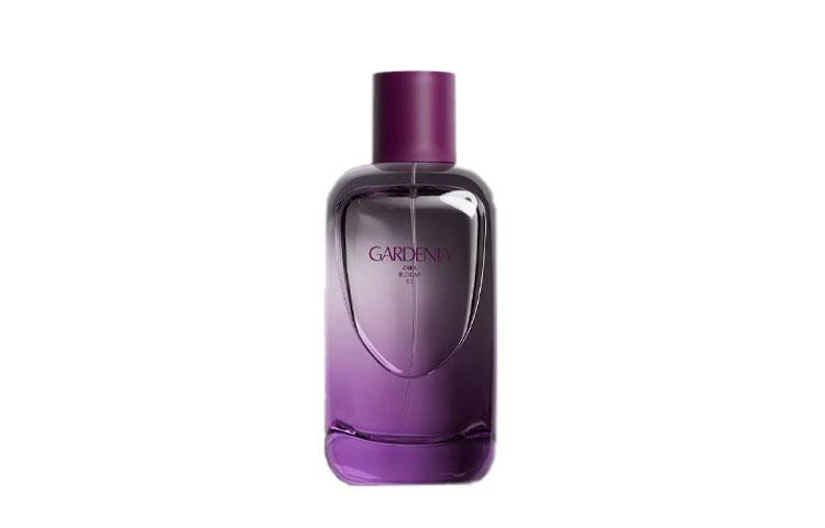 Zara Perfume Feminino Bloom Gardenia Acorde Floral Frutado Eau De Parfum Pêssego Framboesa 180ml