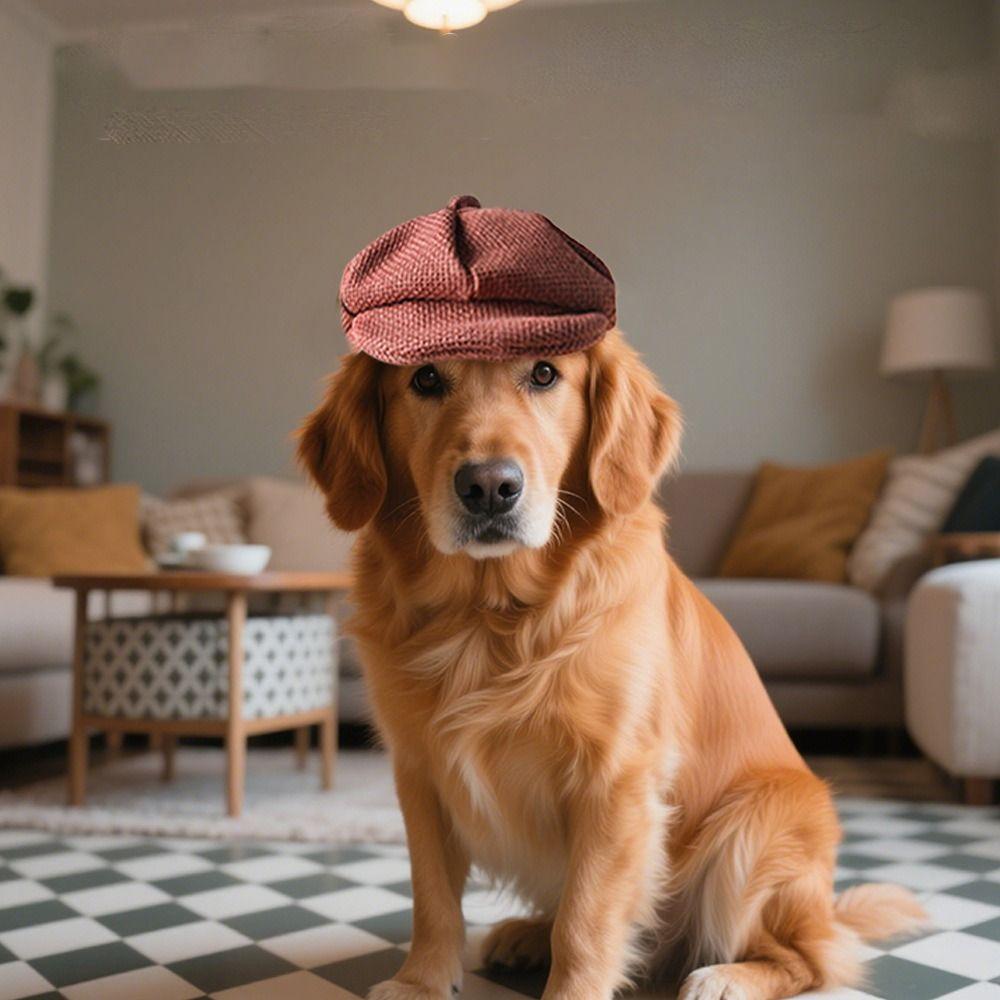 Verstellbarer Katzen-Gentleman-Hut Universelle Haustier-Verkleidungskappe Haustier-Baskenmütze Kostümparty