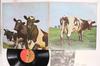 LP Record PINK FLOYD  Atom Heart Mother EMS80320 EMI 1978 Japan Rock Used