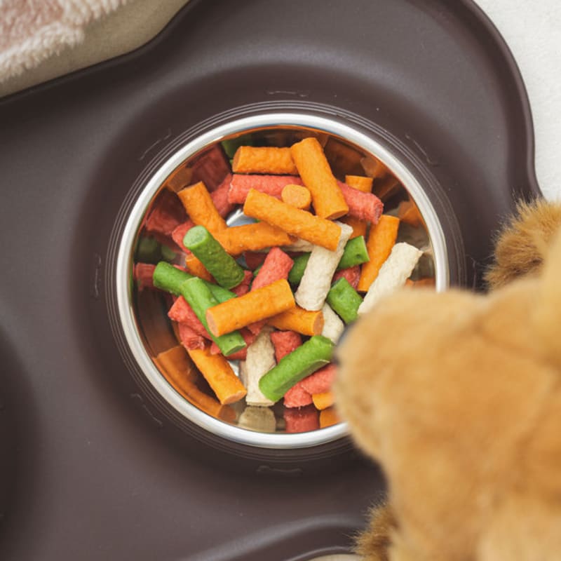 [Pet] Non-Slip 2-Piece Tableware