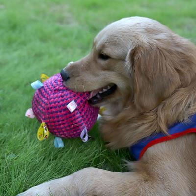 Plush Dog Vocal Toy Ball Funny Interactive Pet Toys with Bells Cleaning Tooth Chew Toy For Small Large Dogs Cats Puppy Plaything