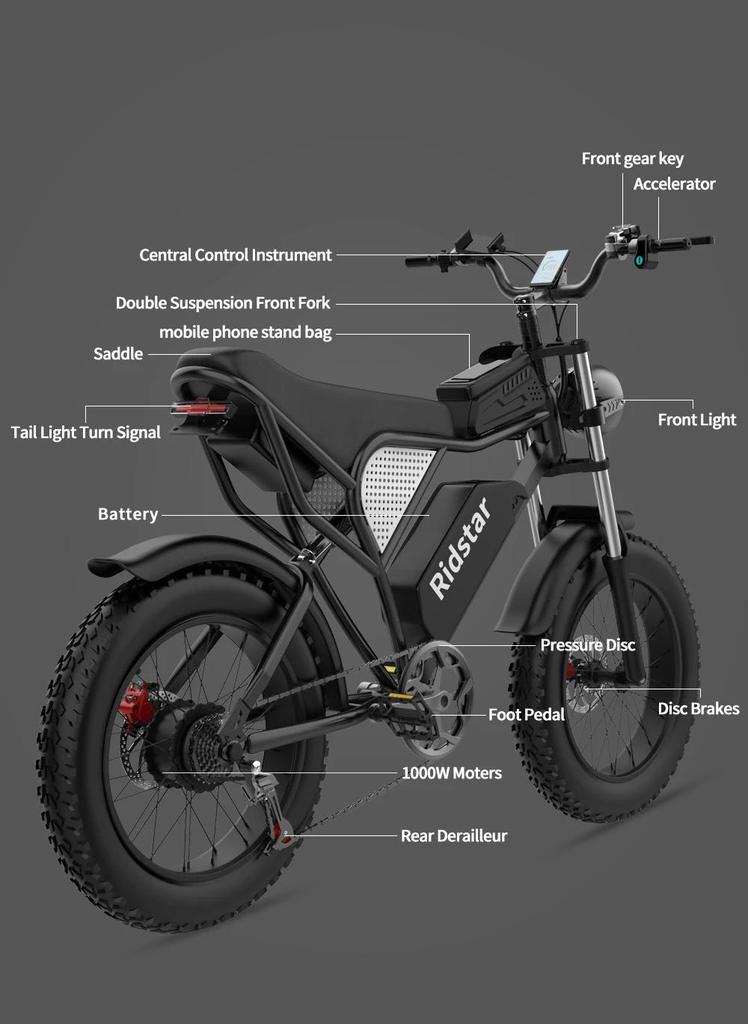 Ridstar Q20 Electric Bike 1000W Powerful Motor 48V20AH Oil Brake 20*4.0inch Fat Tire Ebike Mountain Snow Electric Bicycle