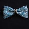 Papillon da Uomo con Strass a Goccia d'Acqua per Eventi Formali e Matrimoni