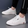 Large size 2025 new breathable canvas shoes men's trend versatile casual shoes