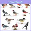 Animal Model Pvc Lifelike Mockingbird Table Ornament For Childrens Room Decor