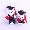DIY Materials Bear Flower Bouquet Dr. Bear Stuffed Plush Doll New Doctor Bear Doll  Graduation