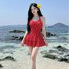 Korean Ins Style Retro Classic Wave Bile Cake Skirt, Slim and Thin Size Chest One-piece Swimsuit Women's Swimsuit