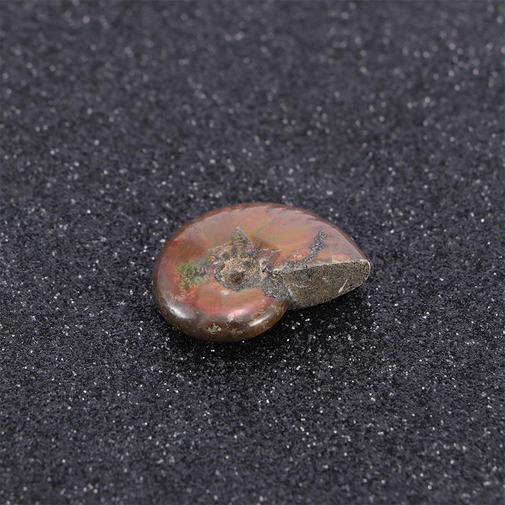 Luck Madagascar Stone Gifts Mascot Iridescent Specimen Ammonite Natural