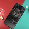British Shorthair Cat Case For Huawei Nova Y91 Y61 Y60 Y70 Y90 Nova 9 SE 10 11i 8i 3i P20 P30 Pro P40 Lite Cover