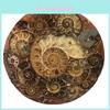 Exquisite 1pc Natural Ammonite Fossil Quartz Crystal Disk Shell Plate Conch Stand